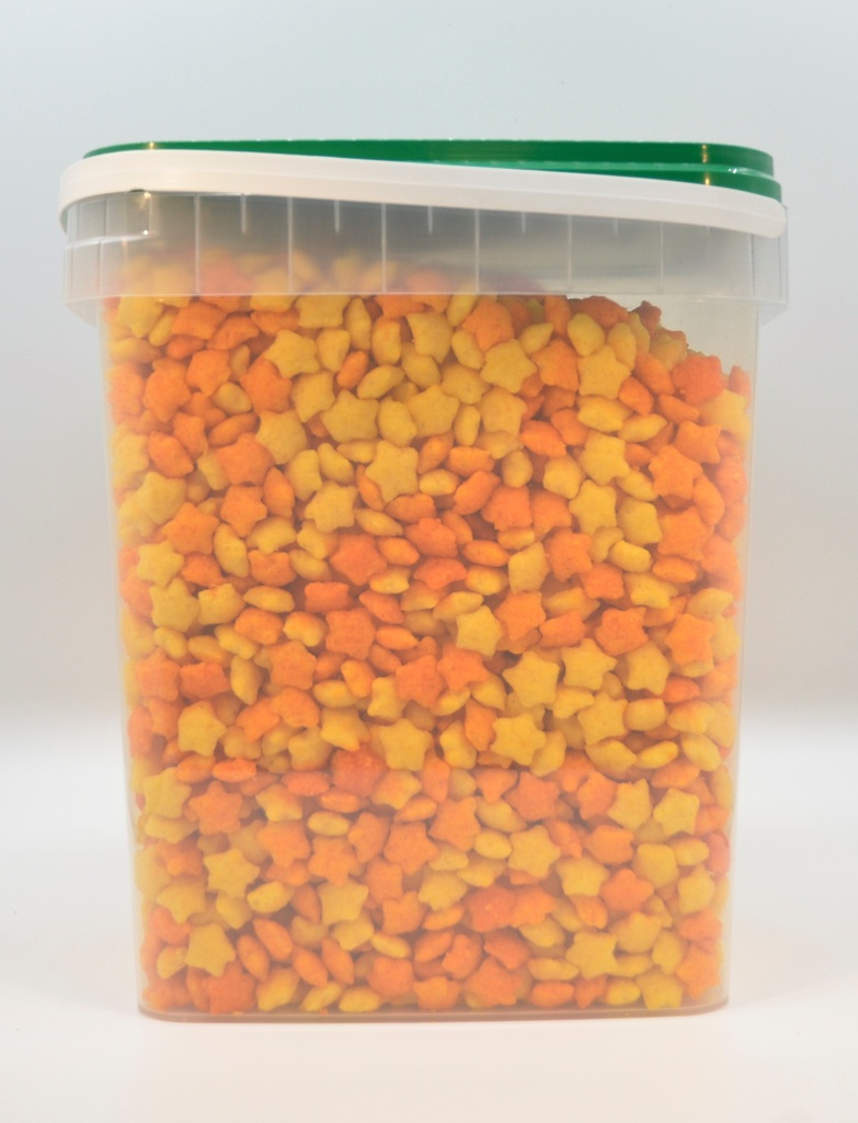 Buenas noches stars chili